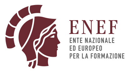 enef, ente, ente nazionale